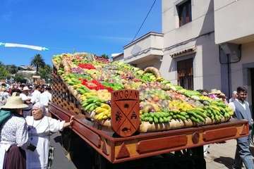 Romería ofrenda a la Virgen del Pino (Foto TA y Antonio Alí)